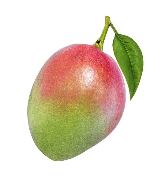 Mango Aislado Sobre Fondo Blanco — Foto de Stock