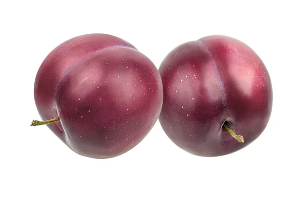 Plum Diisolasi Latar Belakang Putih — Stok Foto