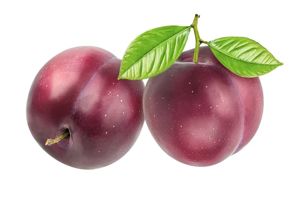 Plum Diisolasi Latar Belakang Putih — Stok Foto