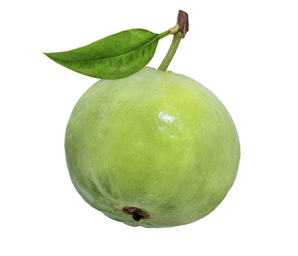 Guayaba Aislada Sobre Fondo Blanco — Foto de Stock