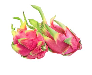 Beyaz arkaplanda Ejder Meyvesi izole