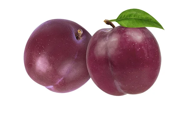 Plum Pada Latar Belakang Putih — Stok Foto