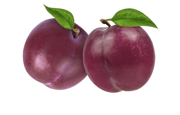 Plum Pada Latar Belakang Putih — Stok Foto