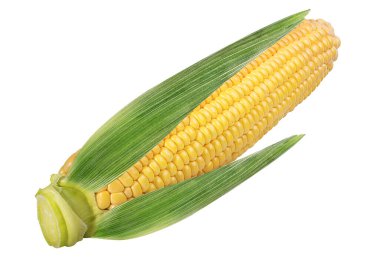 beyaz arkaplanda izole mısır