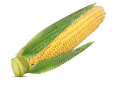 beyaz arkaplanda izole mısır