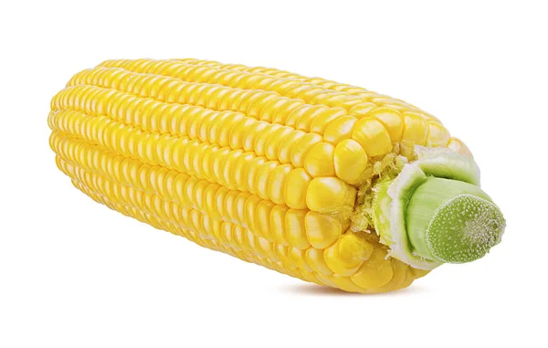 Corn Isolated White Background — Stock Photo, Image