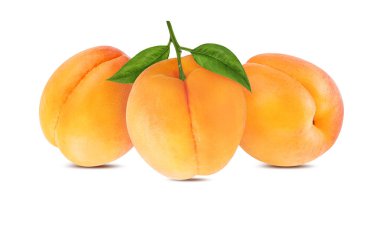 Kayısı beyaz arkaplanda izole edildi