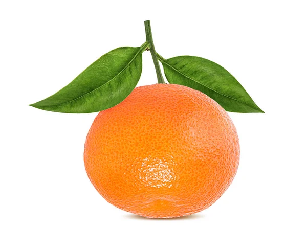 Mandarina Fructe Citrice Mandarine Frunze Izolate Fundal Alb — Fotografie, imagine de stoc