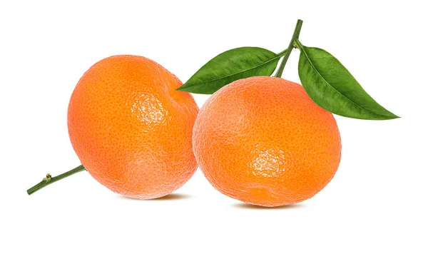 Mandarine Mandarine Zitrusfrüchte Mit Blatt Isoliert Auf Weißem Hintergrund — Stockfoto
