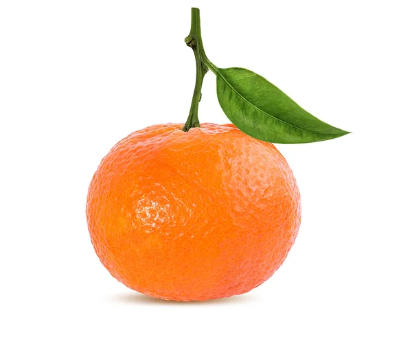 Mandarynka Tangerynowy Owoc Cytrusowy Liściem Wyizolowanym Białym Tle — Zdjęcie stockowe
