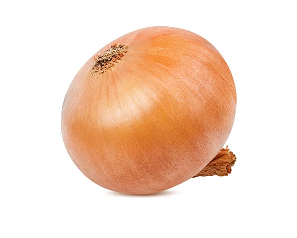 Onions Isolated White Background — Stock Photo, Image