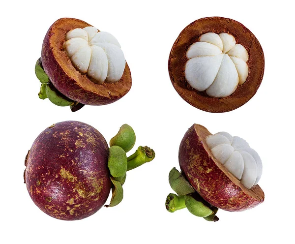 Mangosteen Απομονωμένο Λευκό Φόντο — Φωτογραφία Αρχείου