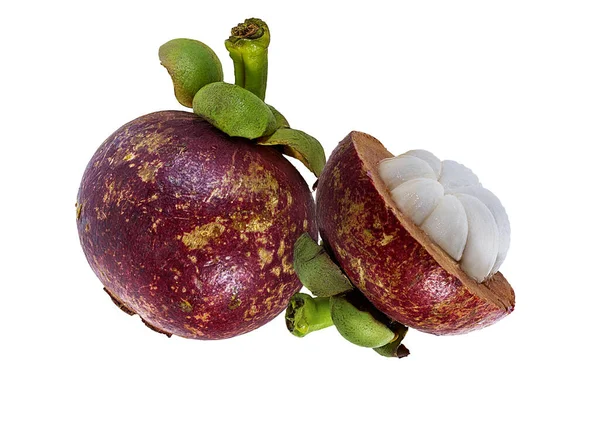 被白色背景隔离的Mangosteen — 图库照片