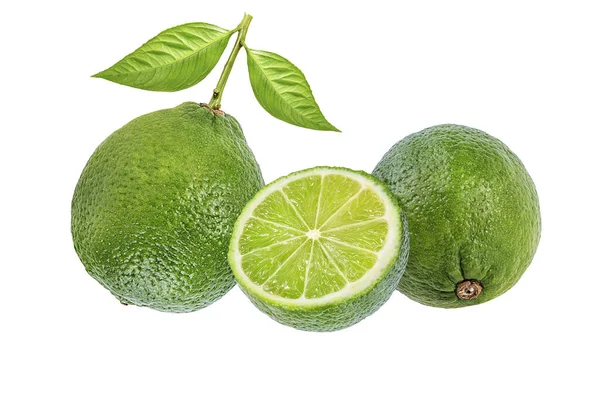 Świeże Zielone Wapno Izolowane Białym Tle Cytrusy Owoce Tropikalne — Zdjęcie stockowe
