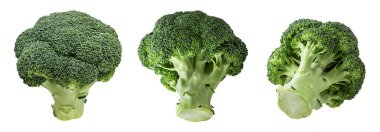 Brokoli beyaz arkaplanda izole edildi.