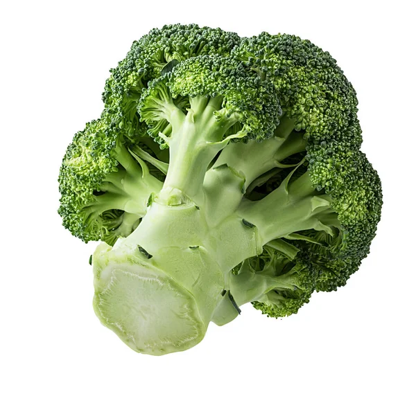 Brokolice Izolované Bílém Pozadí — Stock fotografie