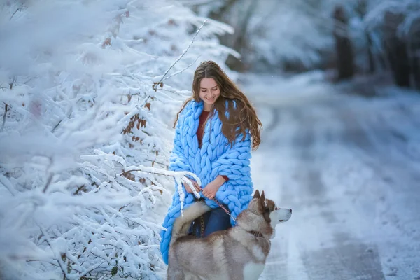 Ένας σκύλος περπατάει σε ένα χιονισμένο δάσος με μια γυναίκα. — Φωτογραφία Αρχείου
