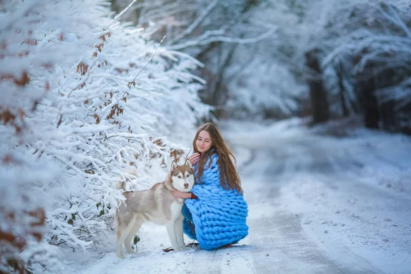Ένας σκύλος περπατάει σε ένα χιονισμένο δάσος με μια γυναίκα. — Φωτογραφία Αρχείου