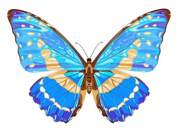Голубая Бабочка Тропическое Насекомое Неоновые Цвета Векторная Иллюстрация Белом Фоне — стоковый вектор