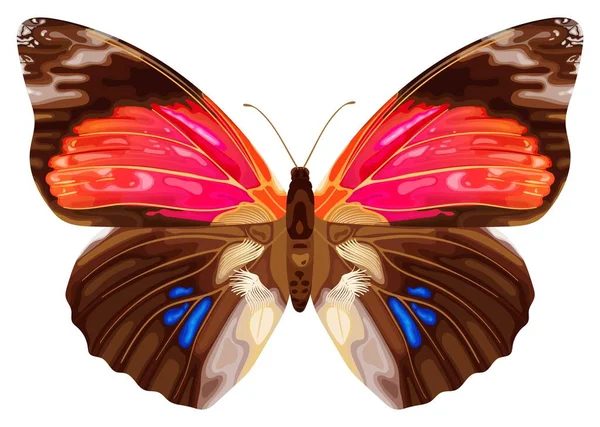 Розовая Экзотическая Бабочка Тропическое Насекомое Неоновые Цвета Векторная Иллюстрация Белом — стоковый вектор