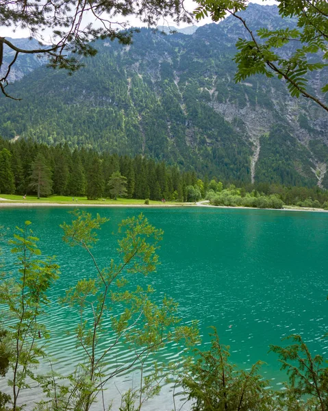 Dağların Ormanların Olduğu Bir Çevrede Alp Gölü — Stok fotoğraf