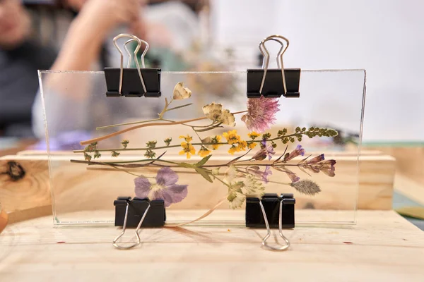 A woman fixes glass plates.. Master class on creating frame with Herbarium in tiffany technique in stained glass. Herbarium of dried different plants and flowers placed under a glass — Stock Photo, Image