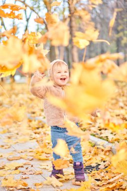 Sarı Sonbahar Parkı. Yaprak düşer ve sarı yapraklar dökülür. 1 yaşında tatlı bir kızın portreleri. güneşli bir gün.