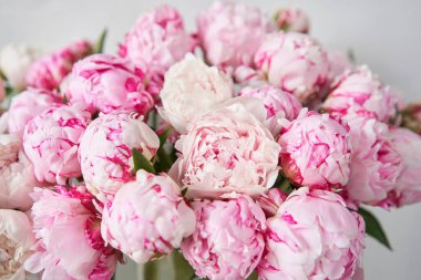 Çiçek halı veya Duvar Kağıdı. Pembe şakayıkların arka planı. Odada sabah ışığı var. Katalog veya online mağaza için güzel şakayık çiçek. Çiçek dükkanı ve teslimat konsepti .