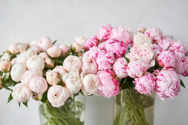 Schöne Blumen in Glasvase. schöner Strauß rosa Pfingstrosen. Florale Komposition, Szene, Tageslicht. Tapete — Stockfoto