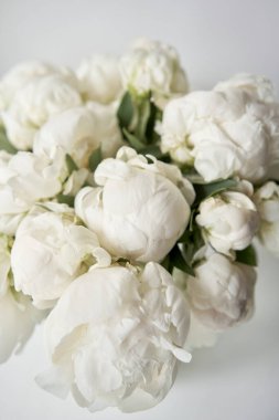 Cam vazoda beyaz şakayıklar. Katalog ya da internet mağazası için güzel şakayık çiçekleri. Çiçek dükkanı konsepti. Taze kesilmiş güzel bir buket. Çiçek teslimatı