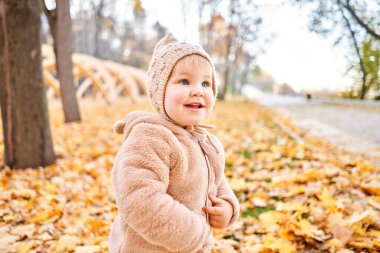 Sarı Sonbahar Parkı. Yaprak düşer ve sarı yapraklar dökülür. 1 yaşında tatlı bir kızın portreleri. güneşli bir gün.
