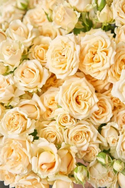 Alfombra floral, textura floral, concepto de tienda. Hermosas flores frescas en flor rosas, rosas en aerosol. Florecen en jarrones y cubos. Vista superior. — Foto de Stock