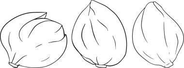 Kapari rengi düz simge. Olgun yeşil sebze. Vejetaryen lezzeti. Çevresel organik gıda. Renkli sayfalar