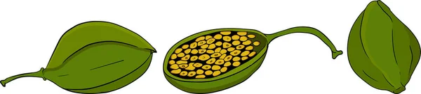 Капелюшники Кольору Плоскої Піктограми Зрізати Зелений Овоч Вегетаріанський Смачний Екологічно — стокове фото