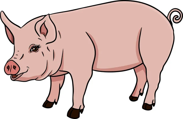 Pig Vector Illustration Piglet Head Isolated White Background Clip Art — Stock Photo, Image