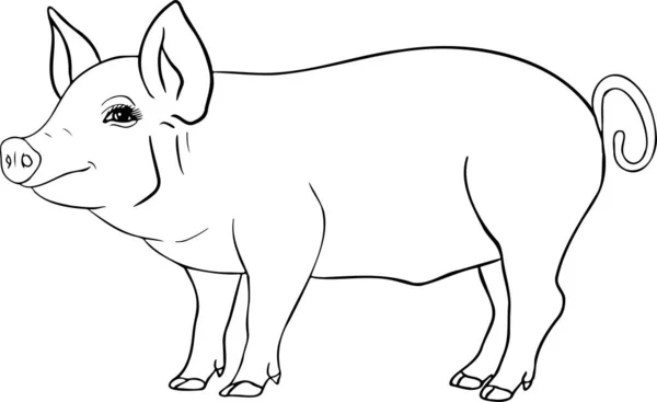 Pig Vector Illustration Piglet Head Isolated White Background Clip Art — Stock Photo, Image