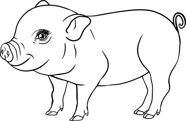 Pig Vector Illustration Piglet Head Isolated White Background Clip Art — Stock Photo, Image