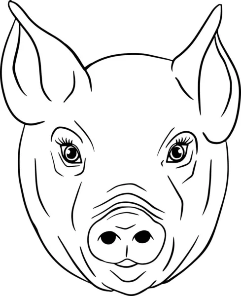 Pig Vector Illustration Piglet Head Isolated White Background Clip Art — Stock Photo, Image