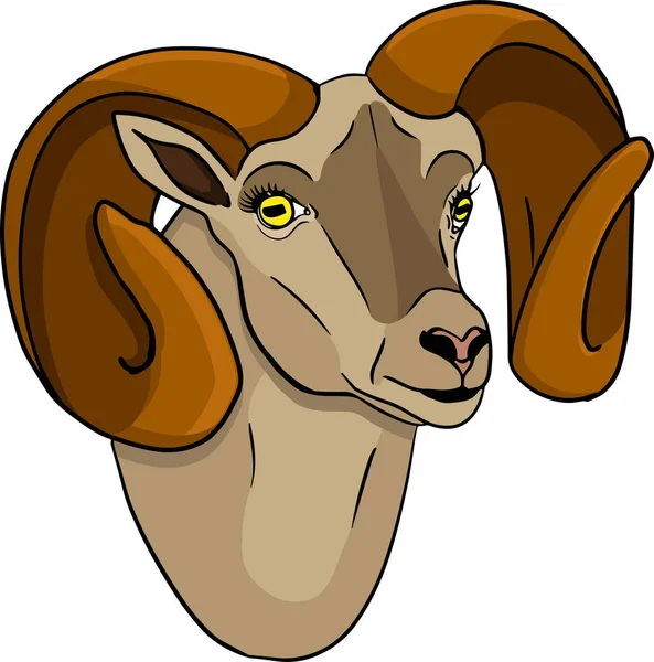 Schafe Handgezeichnete Rinder Tierweidevektorillustration Haustiere Illustration Für Etikett Plakat Druck — Stockfoto