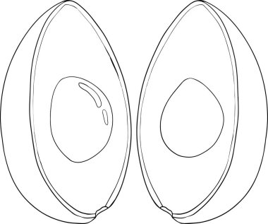 Avokado simgeleri. Tam meyve ya da sebze, yarısı, dilimler, büyük bir tohumla. Sağlıklı bir diyet için yiyecek. Vektör renklendirme sayfaları.