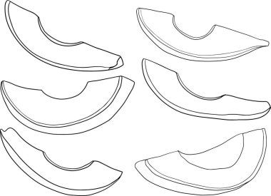 Avokado simgeleri. Tam meyve ya da sebze, yarısı, dilimler, büyük bir tohumla. Sağlıklı bir diyet için yiyecek. Vektör renklendirme sayfaları.
