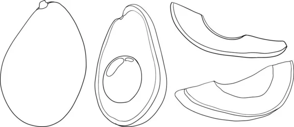 Піктограми Авокадо Цілі Фрукти Або Овочі Половина Скибочки Великим Насінням — стокове фото