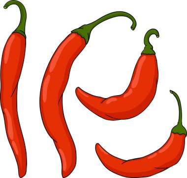 Kırmızı biber. El çizimi renkli vektör çizimi, beyaz arka planda izole edilmiş. Kırmızı biber simgesi