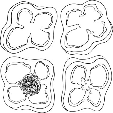 Kırmızı biber. El çizimi renkli vektör çizimi, beyaz arka planda izole edilmiş. Kırmızı biber ikonu. Renkli sayfalar