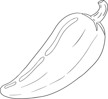 Kırmızı biber. El çizimi renkli vektör çizimi, beyaz arka planda izole edilmiş. Kırmızı biber ikonu. Renkli sayfalar