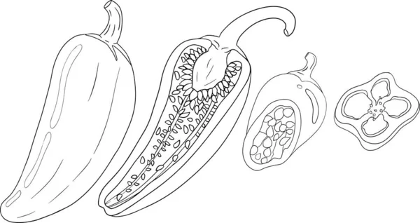 Peper Met Chili Handgetekende Gekleurde Vector Illustratie Geïsoleerd Witte Achtergrond — Stockfoto