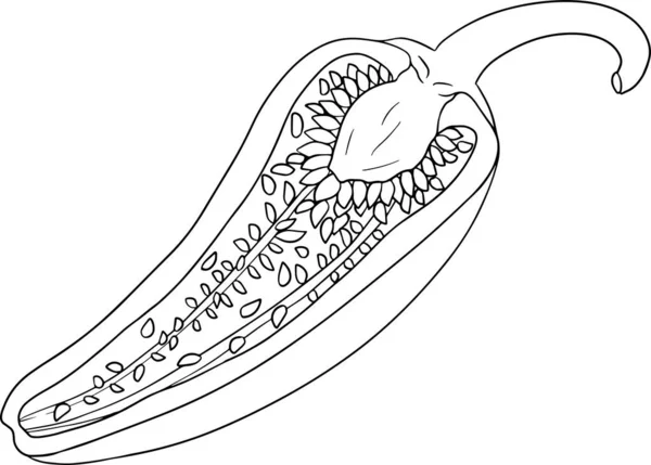 Peper Met Chili Handgetekende Gekleurde Vector Illustratie Geïsoleerd Witte Achtergrond — Stockfoto