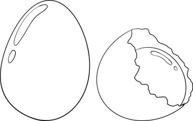 El yapımı vektör yumurtaları. Çırpılmış omlet, çiftlik yumurtası. Malzeme çizimi, rustik vektör çizimi