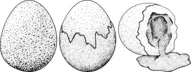 El yapımı vektör yumurtaları. Çırpılmış omlet, çiftlik yumurtası. Malzeme çizimi, rustik vektör çizimi