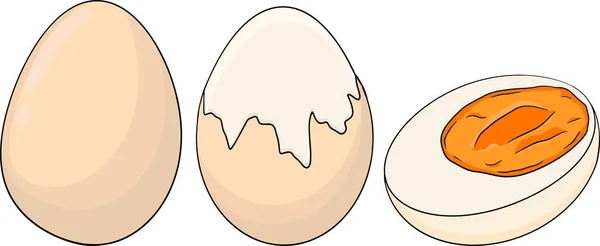 Ręcznie Pobierane Jaja Wektorowe Jajecznica Omlet Jajka Hodowlane Składniki Rysunku — Zdjęcie stockowe